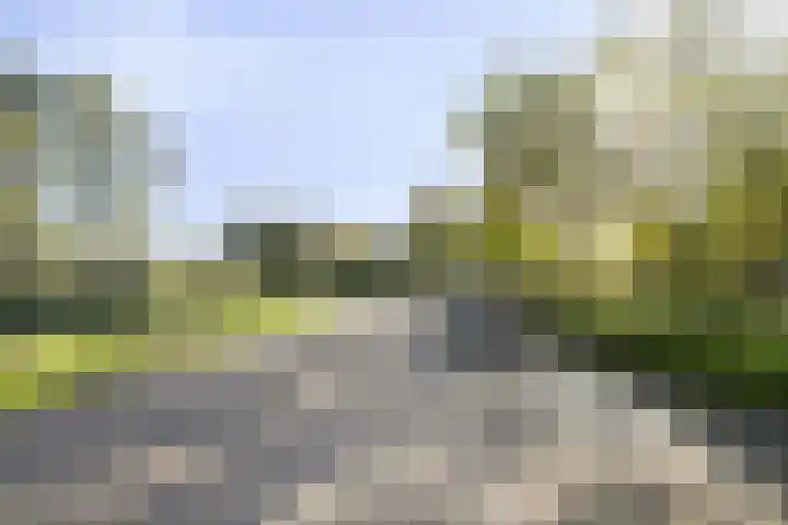 Botter 31 7 Lelystad thumbnail 26