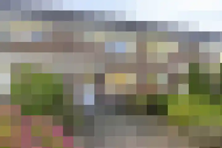 Botter 31 7 Lelystad thumbnail 4