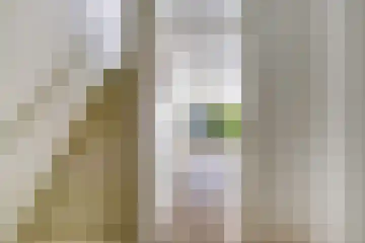 Botter 31 7 Lelystad thumbnail 5