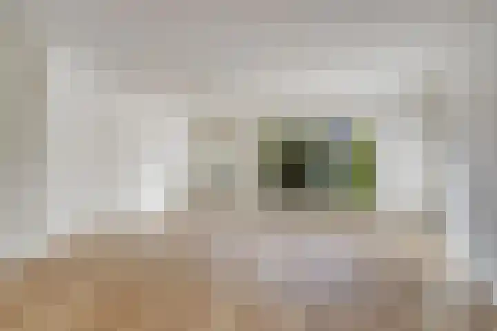 Botter 31 7 Lelystad thumbnail 7