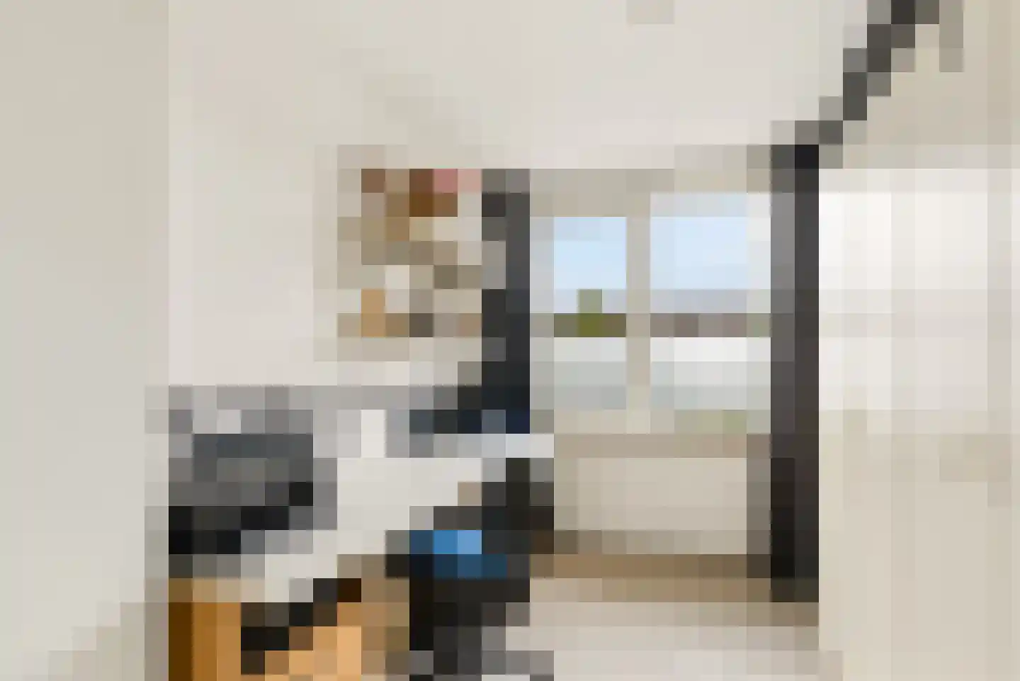 Botter 33 17 Lelystad thumbnail 17