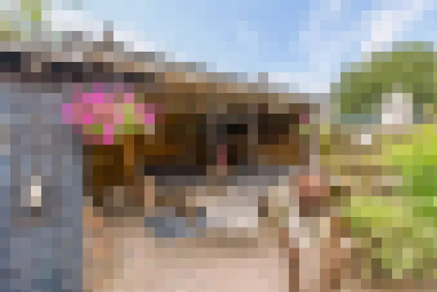 Botter 33 17 Lelystad thumbnail 29