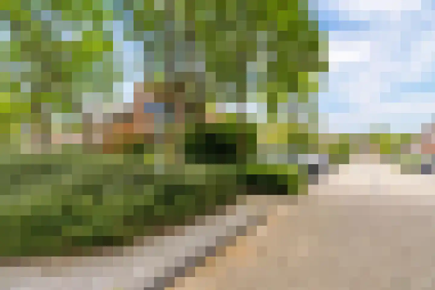 Botter 33 17 Lelystad thumbnail 32