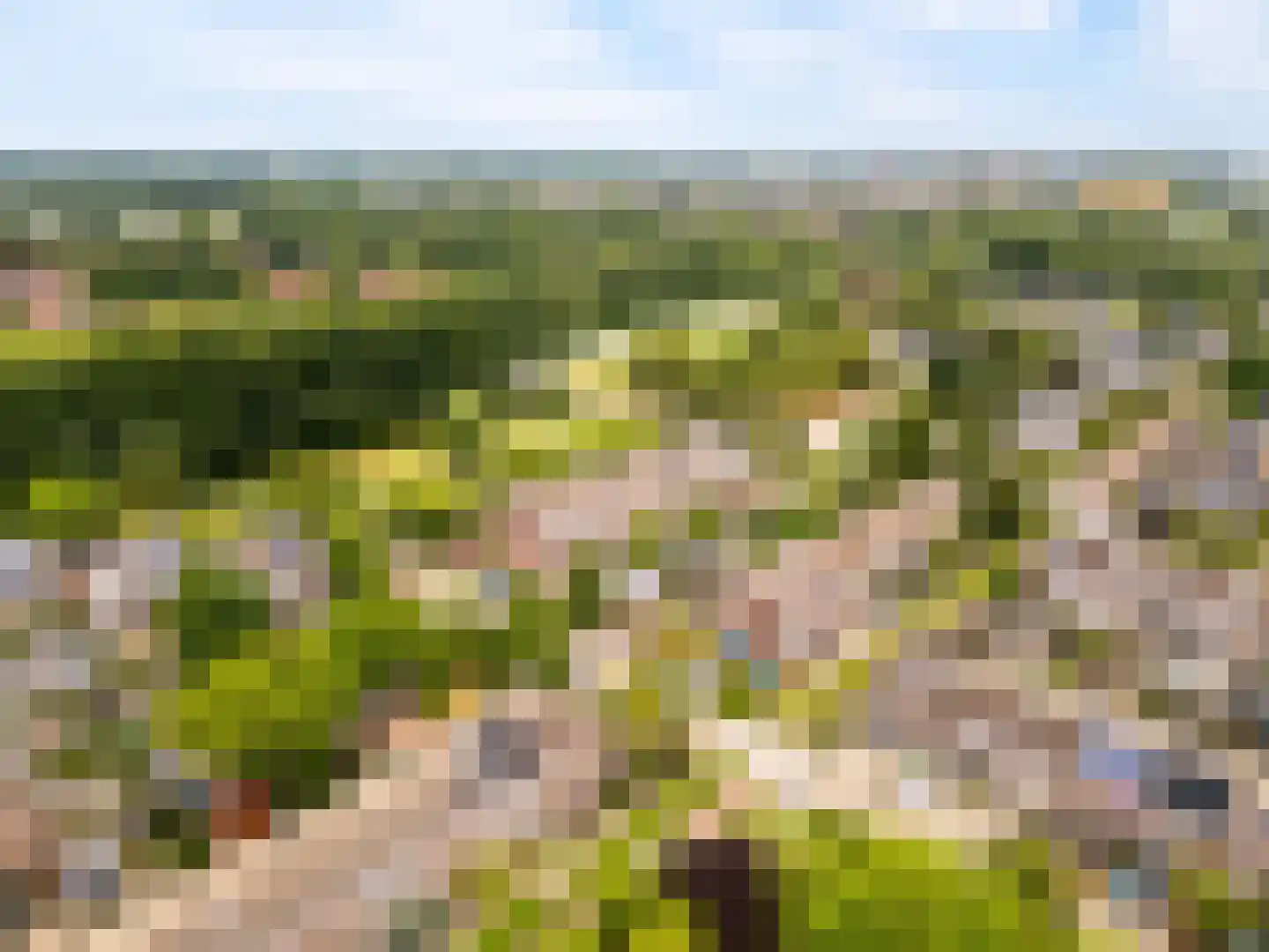 Botter 33 17 Lelystad thumbnail 37