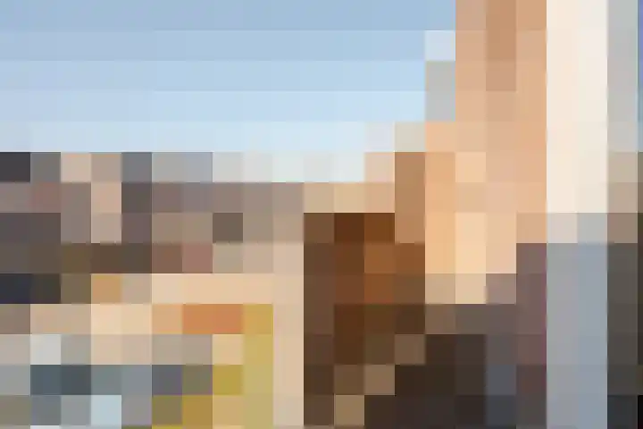 Botter 33 33 33 Lelystad thumbnail 26