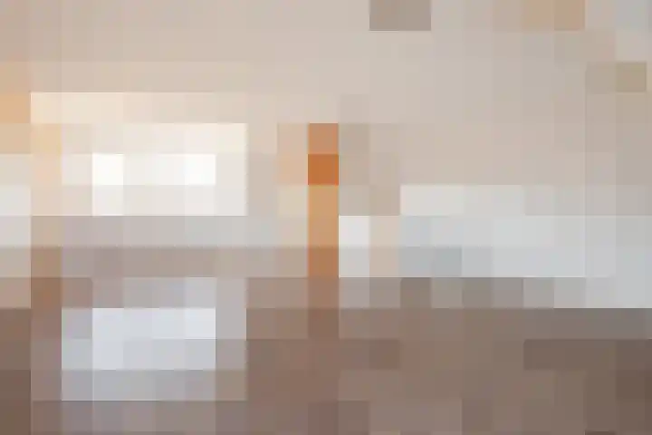 Botter 33 33 33 Lelystad thumbnail 28
