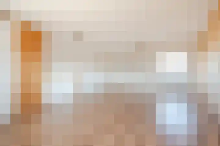 Botter 33 33 33 Lelystad thumbnail 29