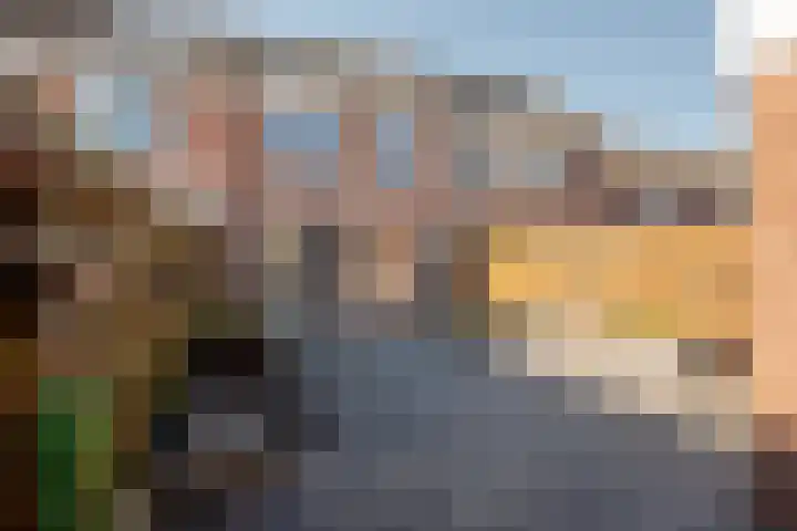Botter 33 33 33 Lelystad thumbnail 31