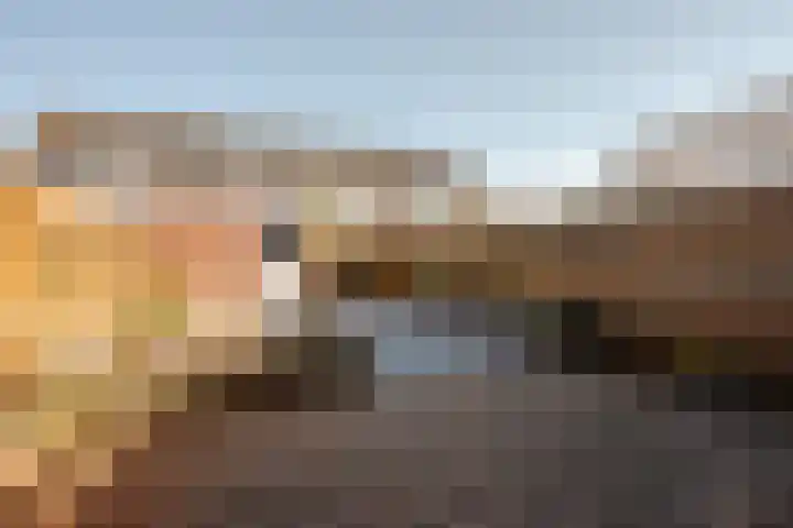 Botter 33 33 33 Lelystad thumbnail 34