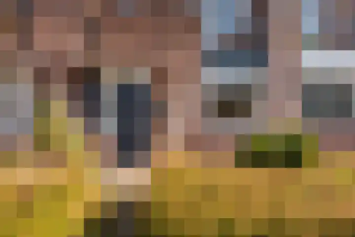 Botter 33 33 33 Lelystad thumbnail 35
