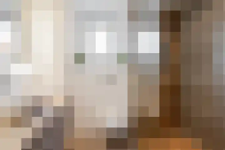 Botter 33 33 33 Lelystad thumbnail 4