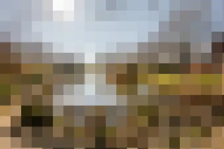 Botter 33 33 33 Lelystad thumbnail 41
