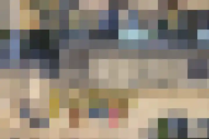 Botter 33 33 33 Lelystad thumbnail 42
