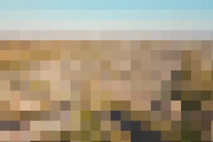 Botter 33 33 33 Lelystad thumbnail 44