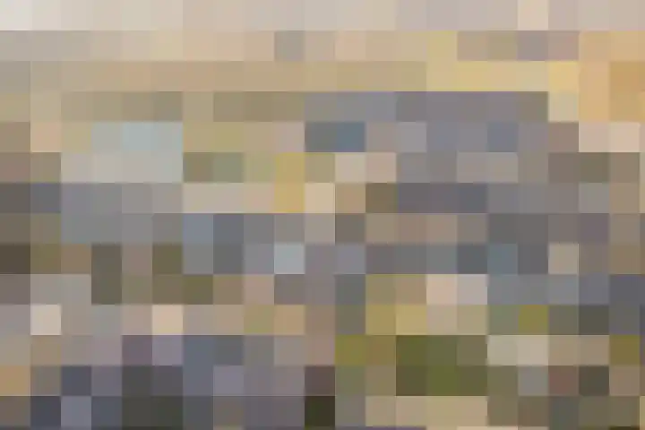 Botter 33 33 33 Lelystad thumbnail 48