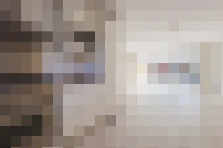 Botter 33 33 41 Lelystad thumbnail 10