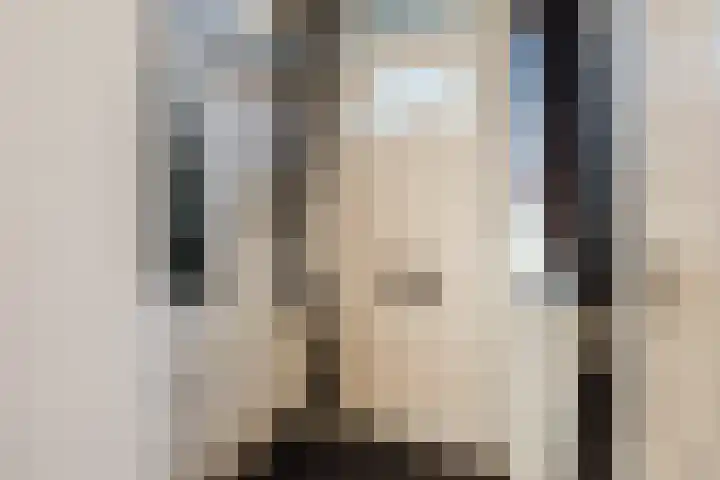 Botter 33 33 41 Lelystad thumbnail 11