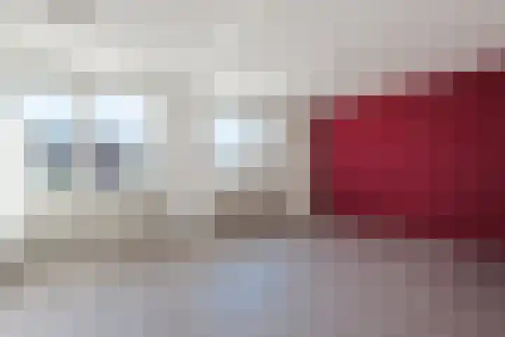 Botter 33 33 41 Lelystad thumbnail 13