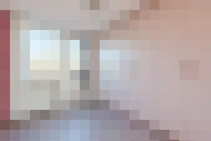 Botter 33 33 41 Lelystad thumbnail 16
