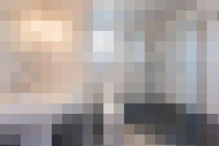 Botter 33 33 41 Lelystad thumbnail 19