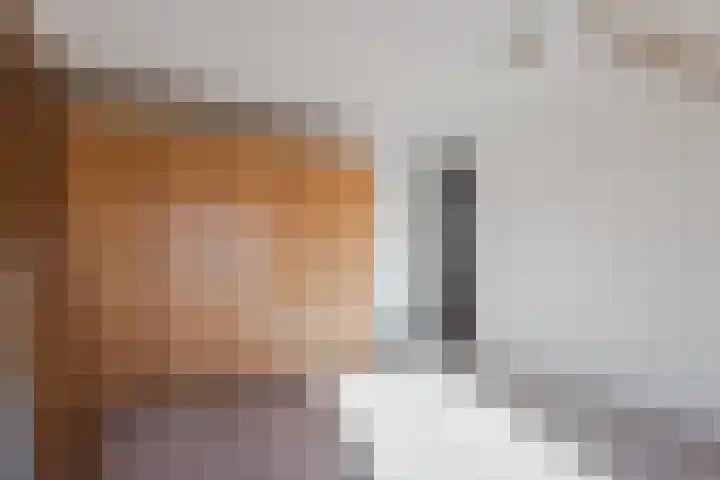Botter 33 33 41 Lelystad thumbnail 22