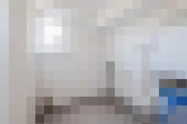 Botter 33 33 41 Lelystad thumbnail 25