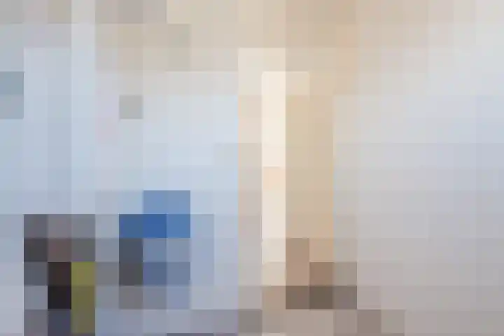 Botter 33 33 41 Lelystad thumbnail 26