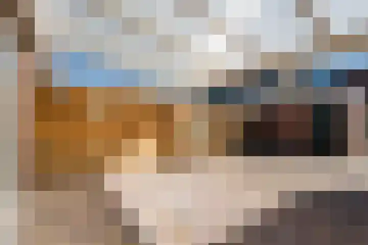Botter 33 33 41 Lelystad thumbnail 32