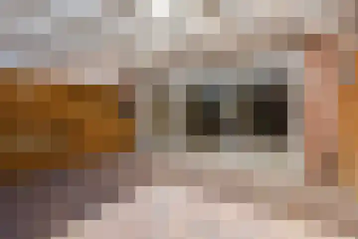 Botter 33 33 41 Lelystad thumbnail 35