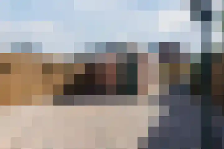 Botter 33 33 41 Lelystad thumbnail 38