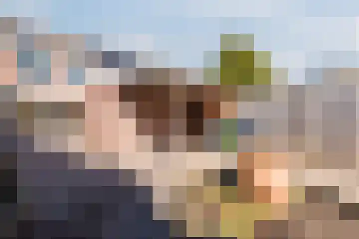 Botter 33 33 41 Lelystad thumbnail 42