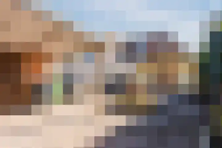 Botter 33 33 41 Lelystad thumbnail 43