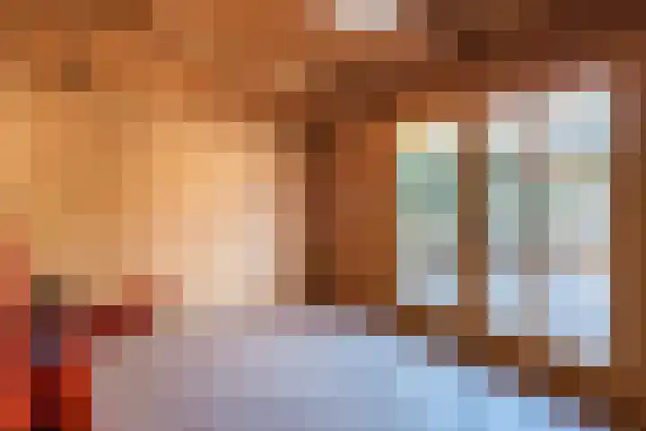 Botter 33 33 41 Lelystad thumbnail 46