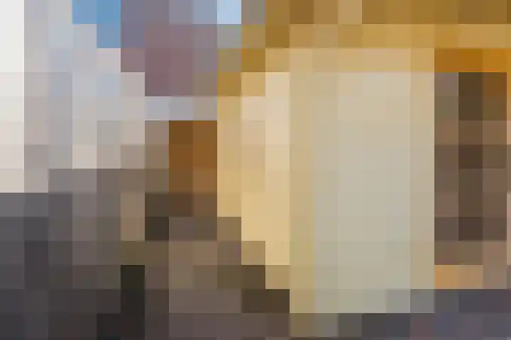 Botter 33 33 41 Lelystad thumbnail 47