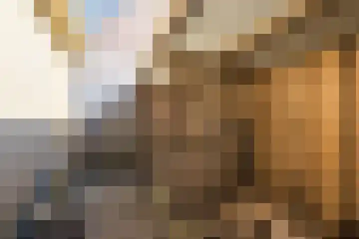 Botter 33 33 41 Lelystad thumbnail 48