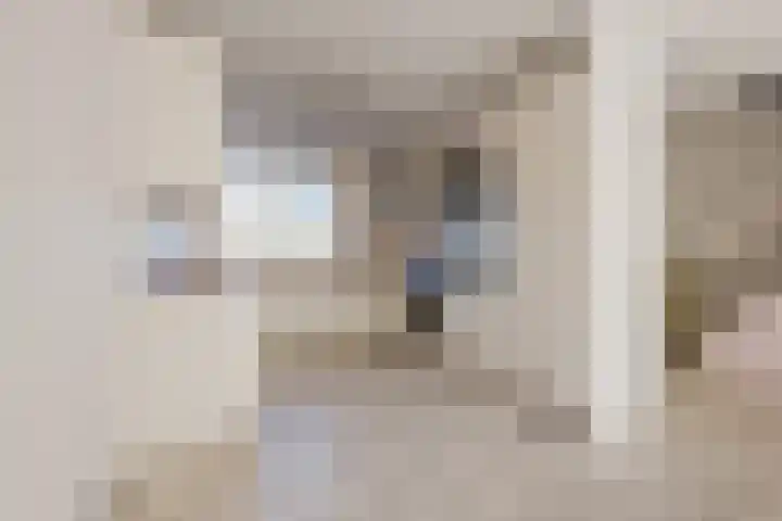 Botter 33 33 41 Lelystad thumbnail 7