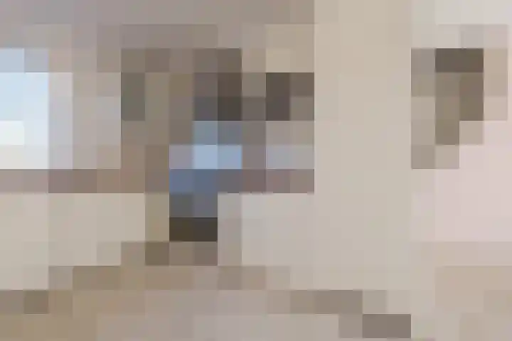 Botter 33 33 41 Lelystad thumbnail 8