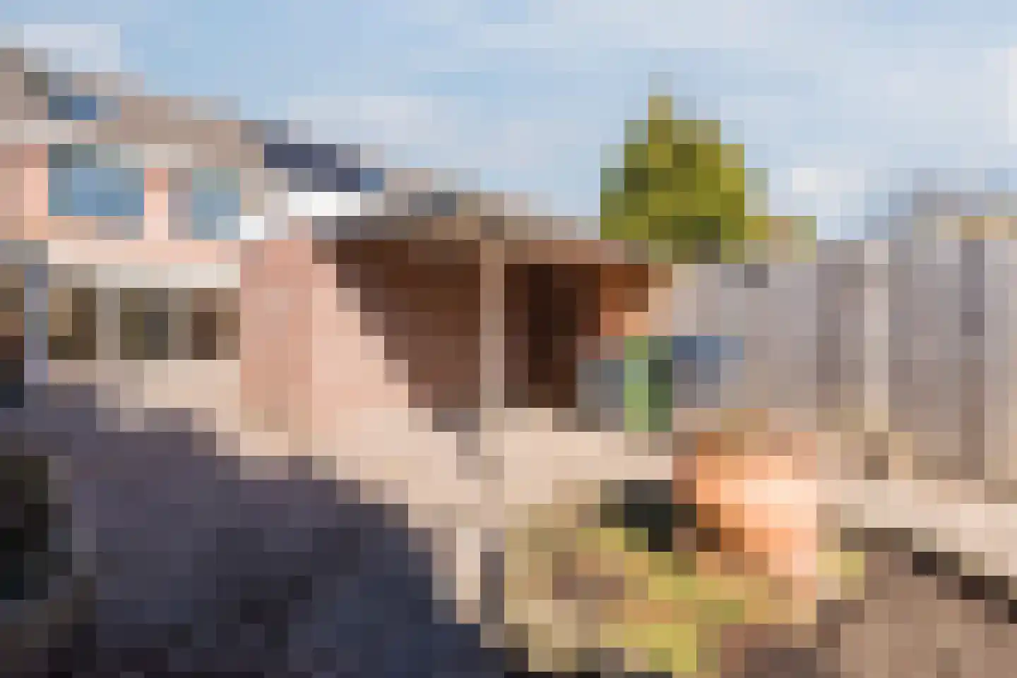 Botter 33 41 Lelystad thumbnail 42