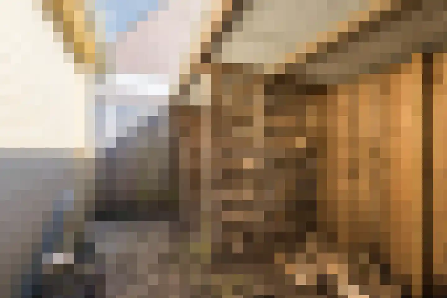 Botter 33 41 Lelystad thumbnail 48