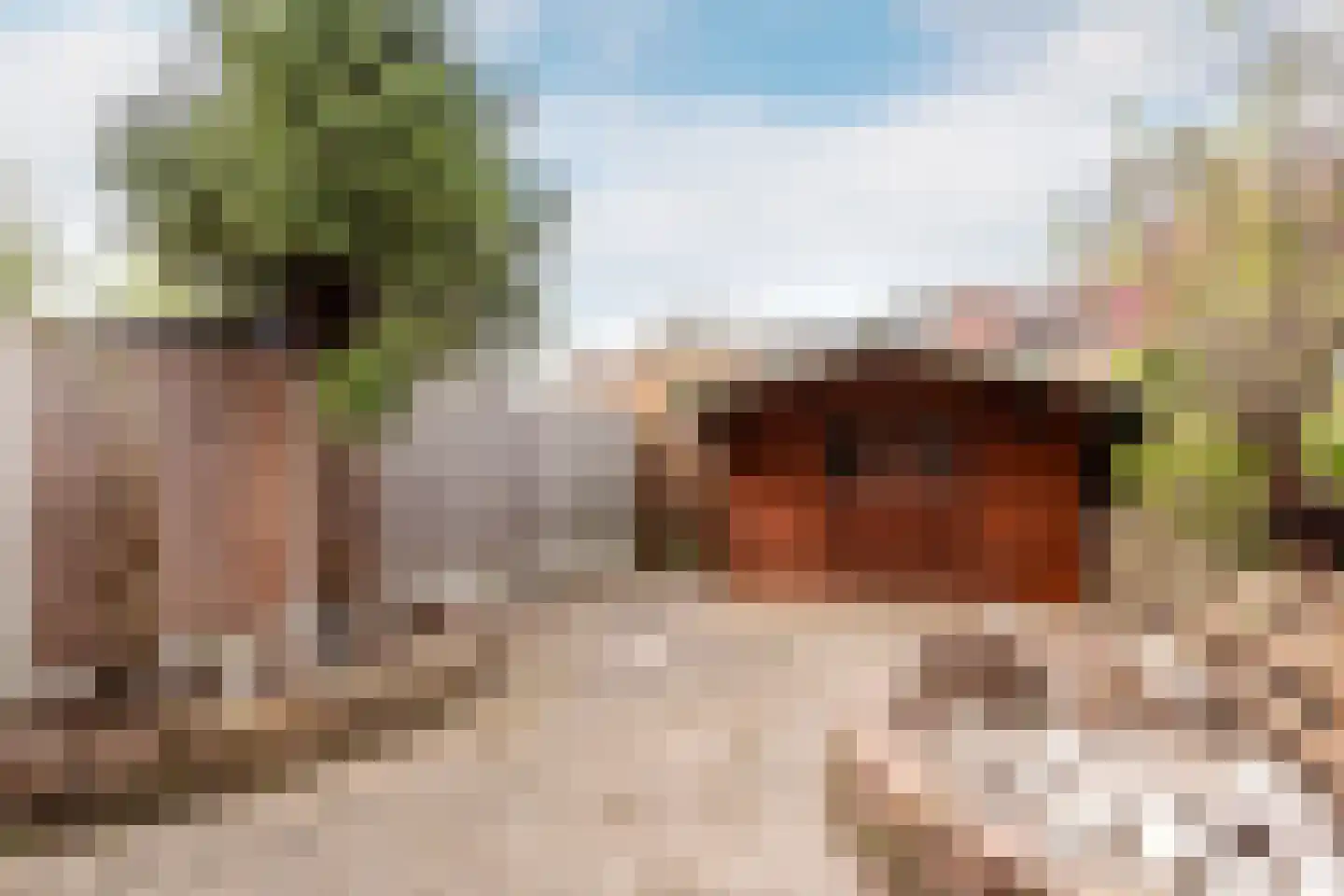 Botter 33 6 Lelystad thumbnail 29