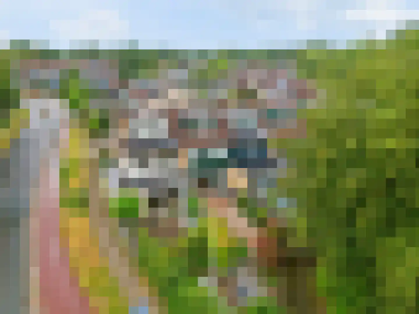 Botter 33 Veenendaal thumbnail 29