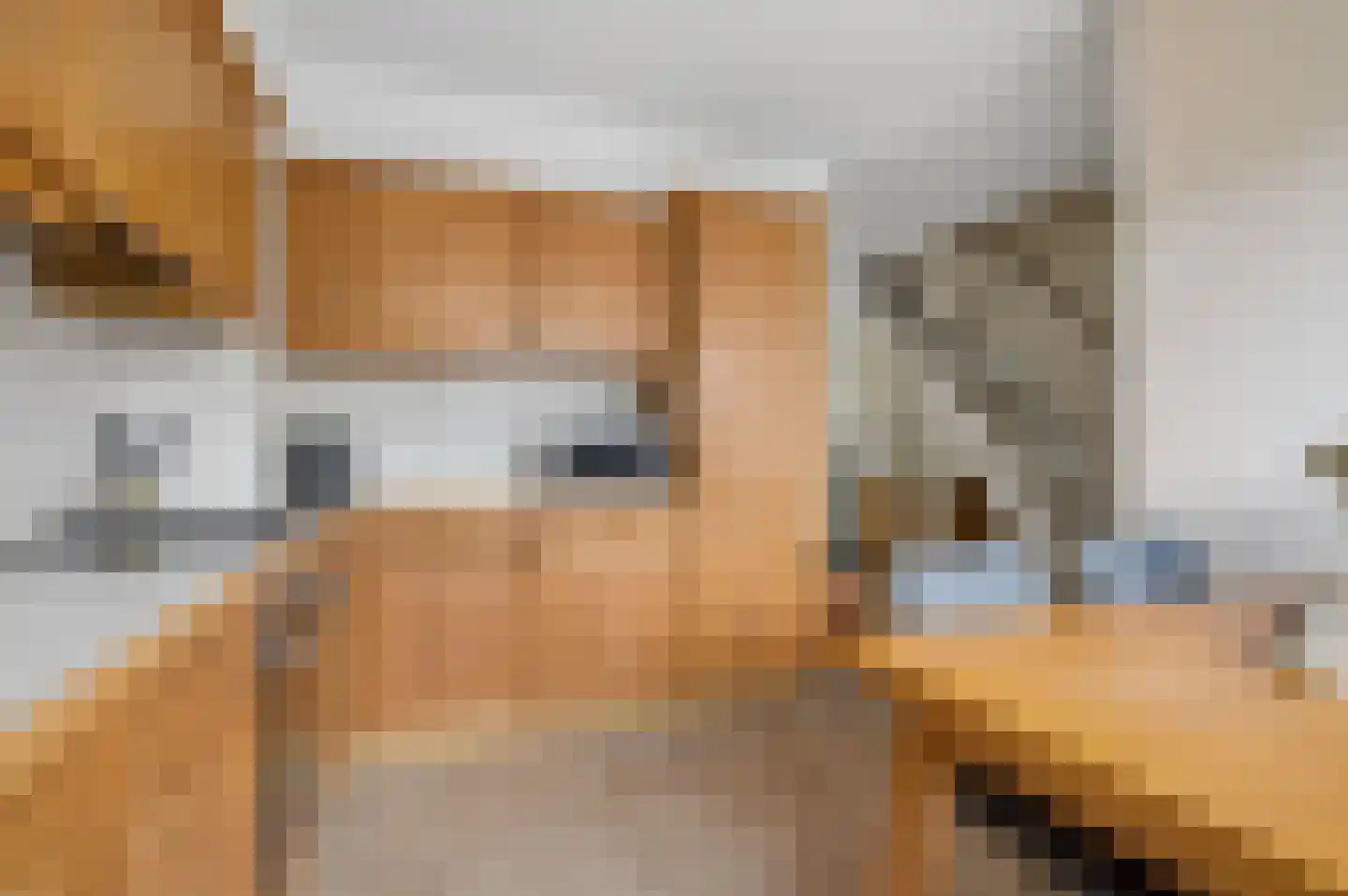 Botter 33 Veenendaal thumbnail 6