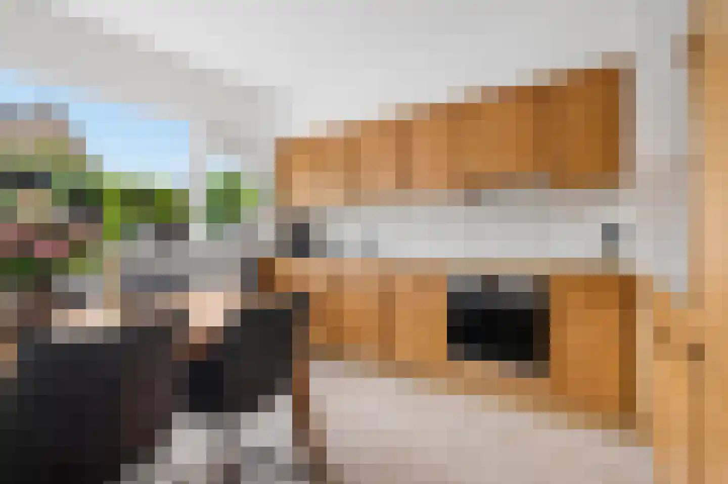 Botter 33 Veenendaal thumbnail 7