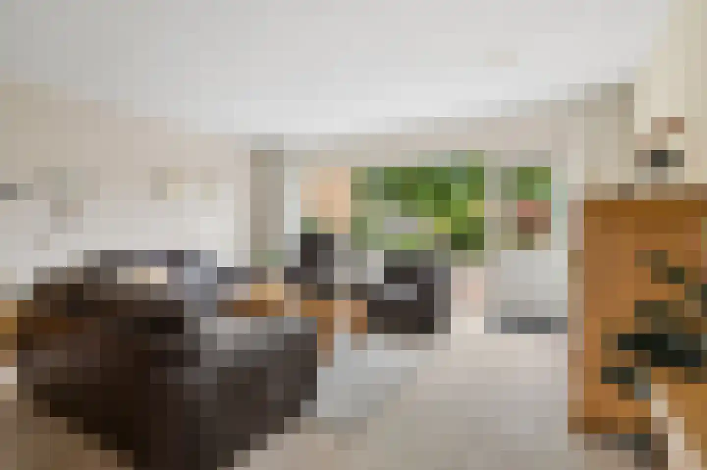 Botter 33 Veenendaal thumbnail 9