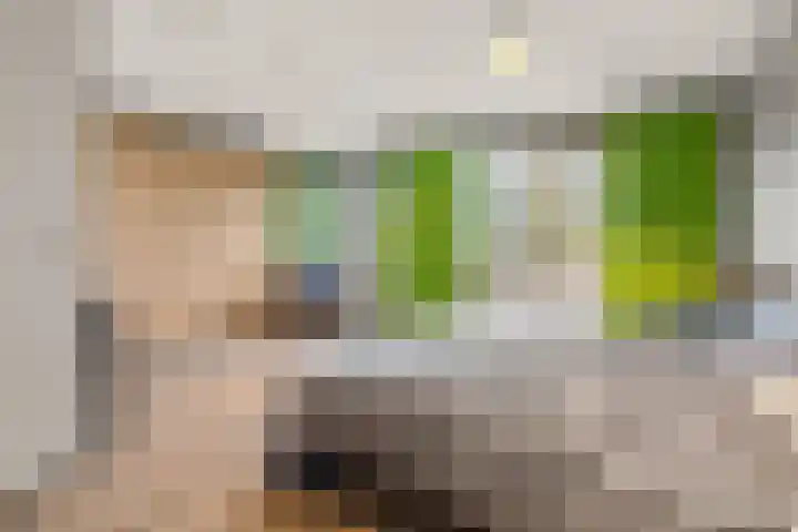 Botter 34 2 Lelystad thumbnail 20