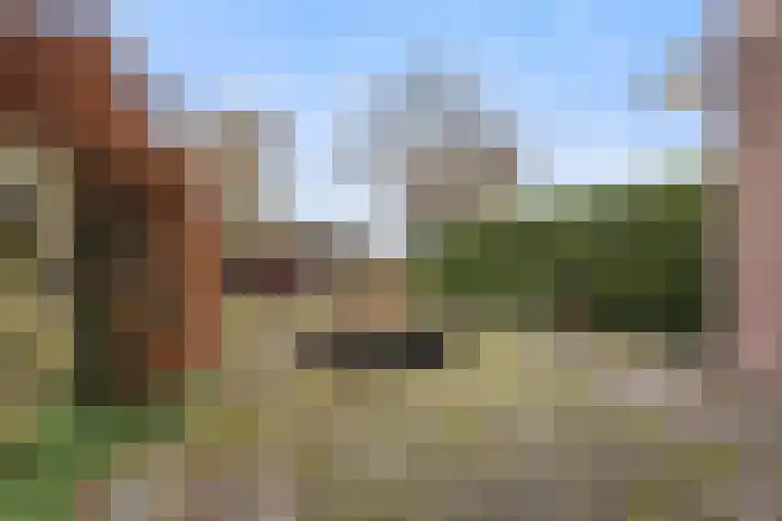 Botter 34 2 Lelystad thumbnail 29