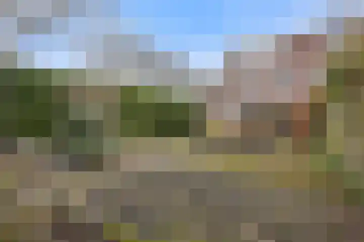 Botter 34 2 Lelystad thumbnail 31