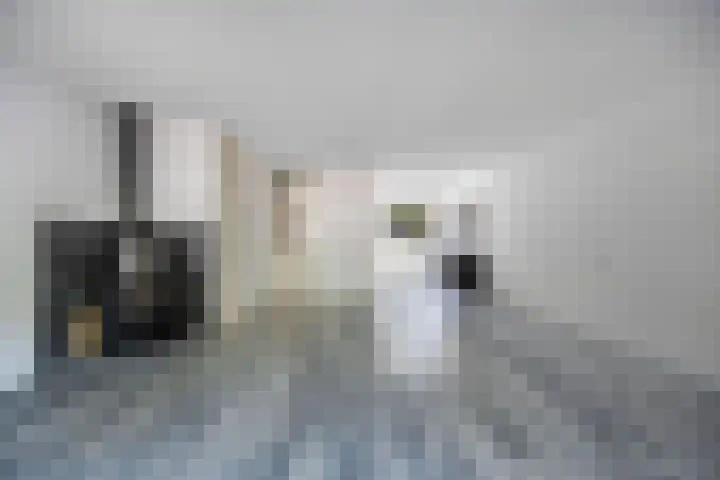 Botter 34 24 Lelystad thumbnail 11
