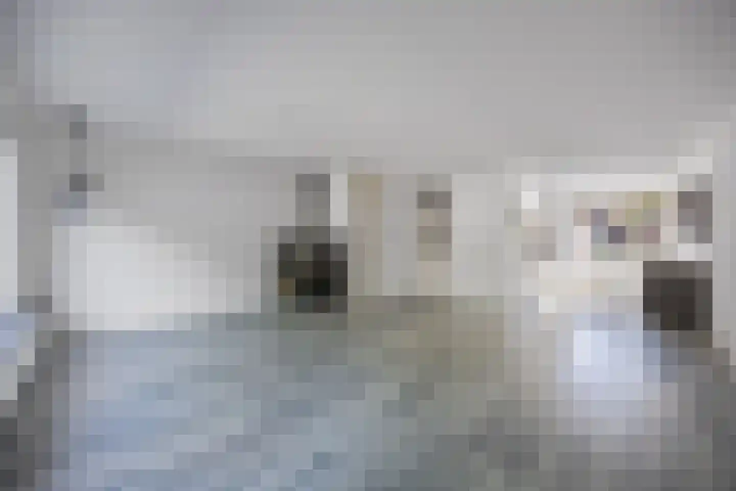 Botter 34 24 Lelystad thumbnail 12