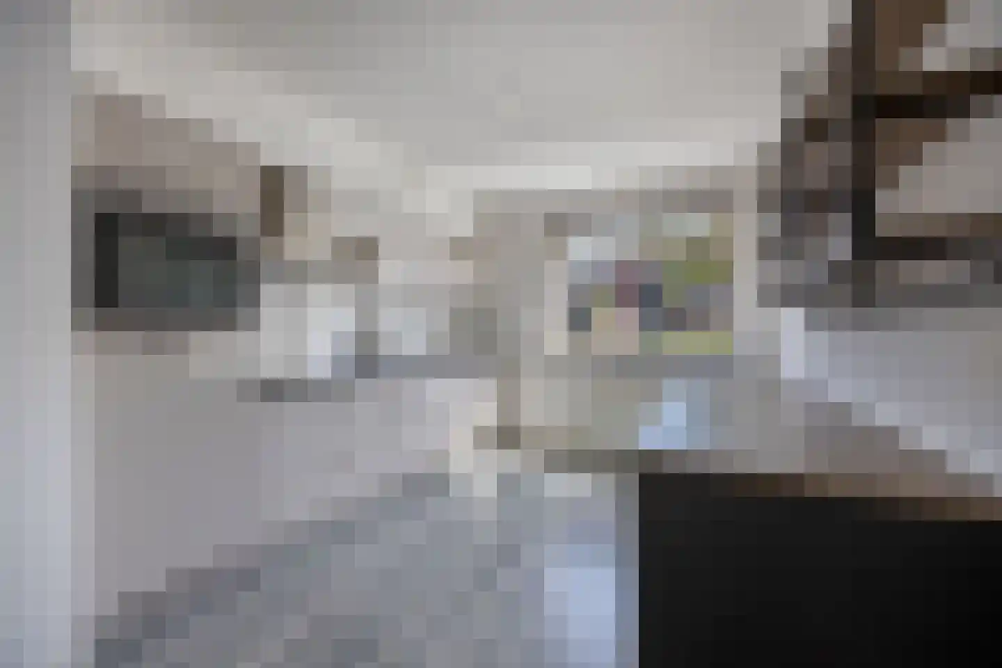Botter 34 24 Lelystad thumbnail 13